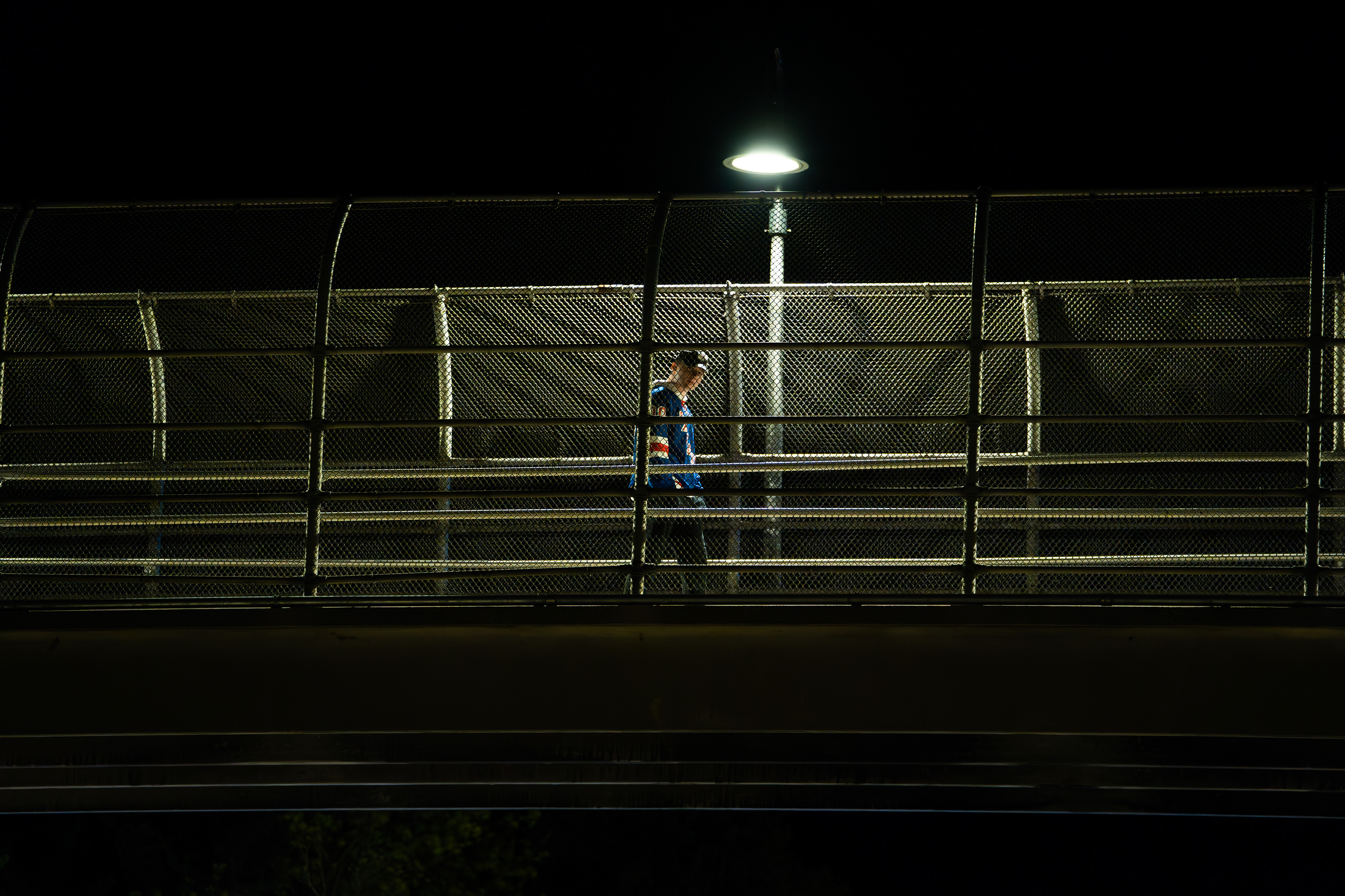 Lurking, Stony Brook, NY, 2023