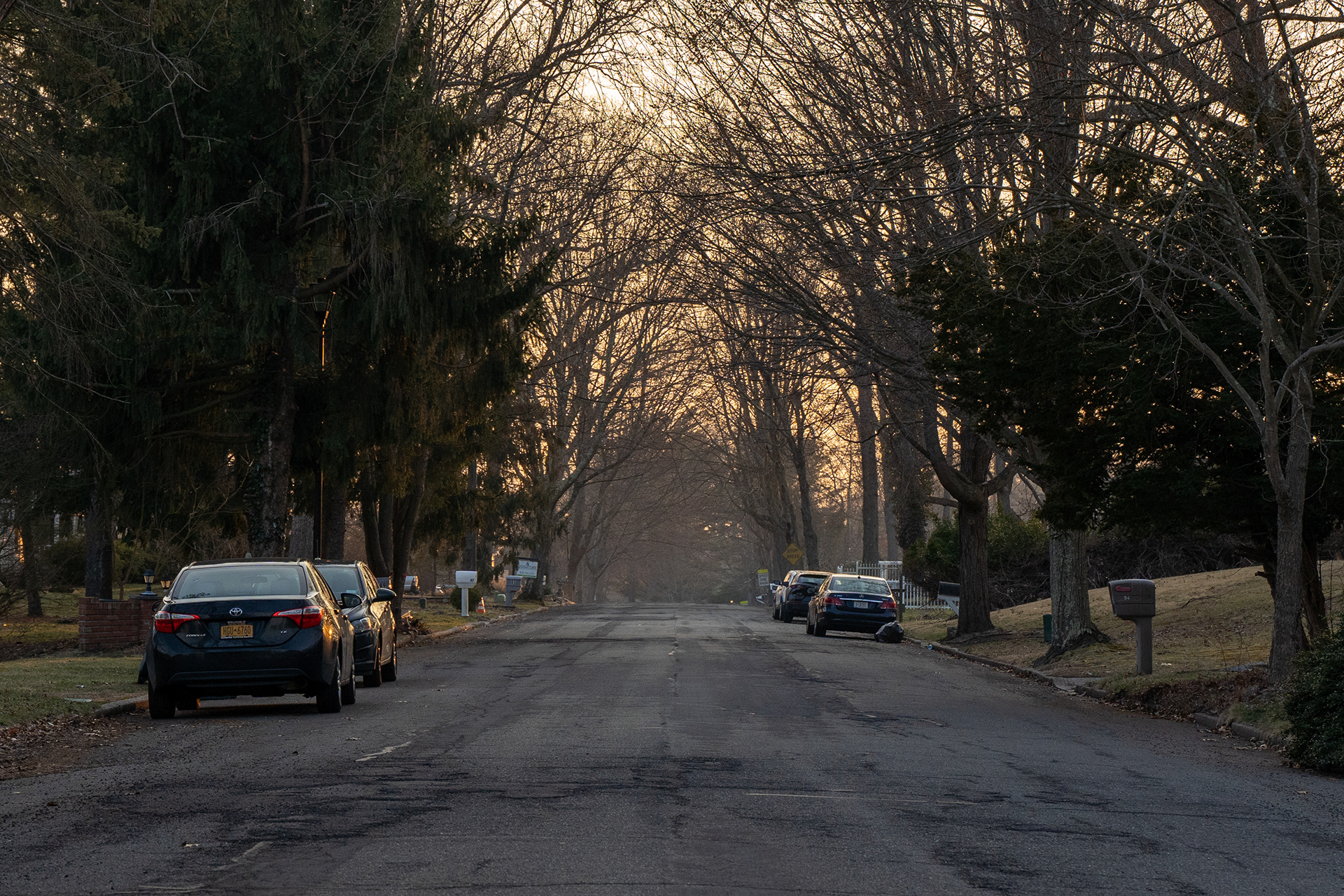 The Road to University, Stony Brook, NY, 2023