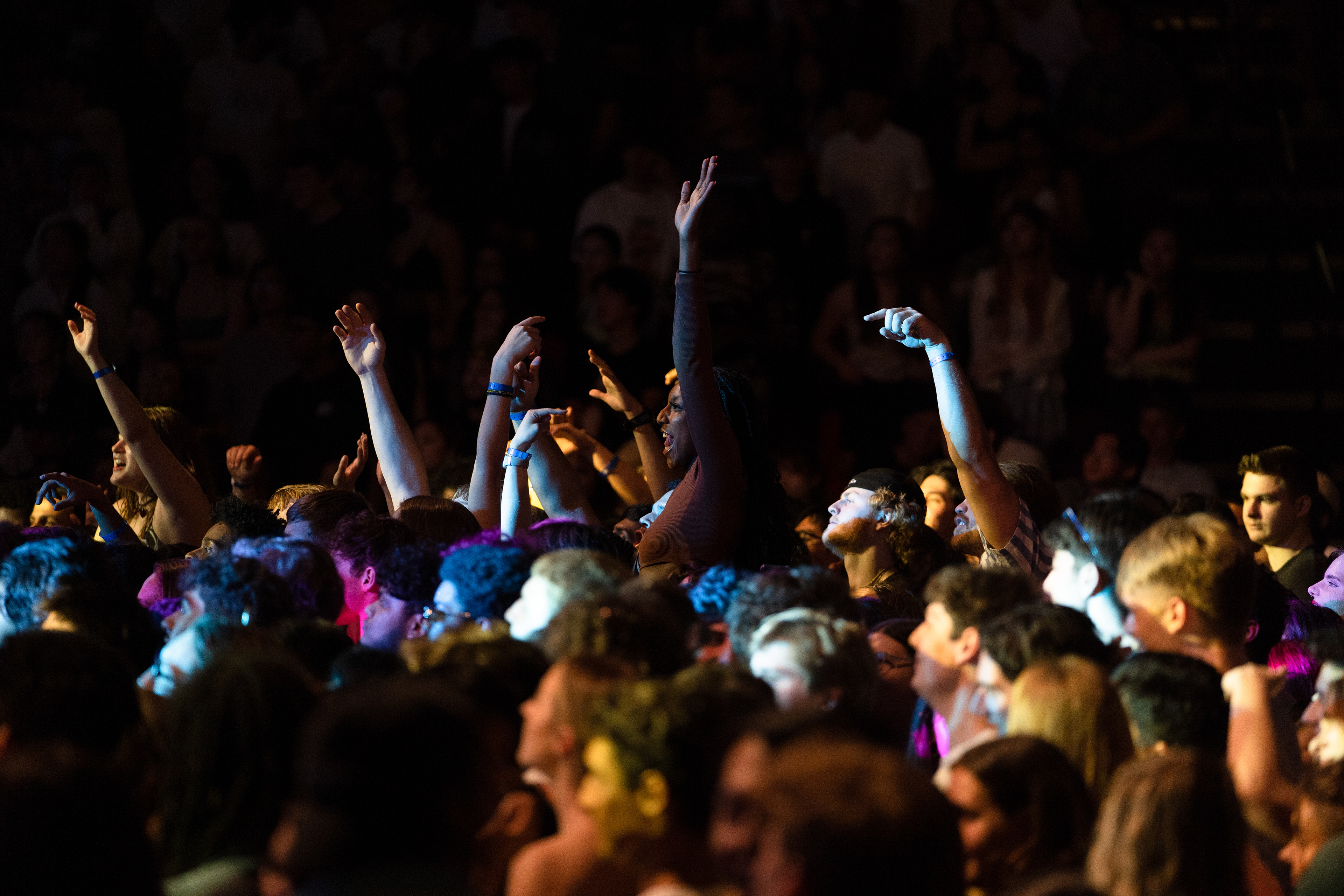 In the Crowd, Stony Brook, NY, 2023