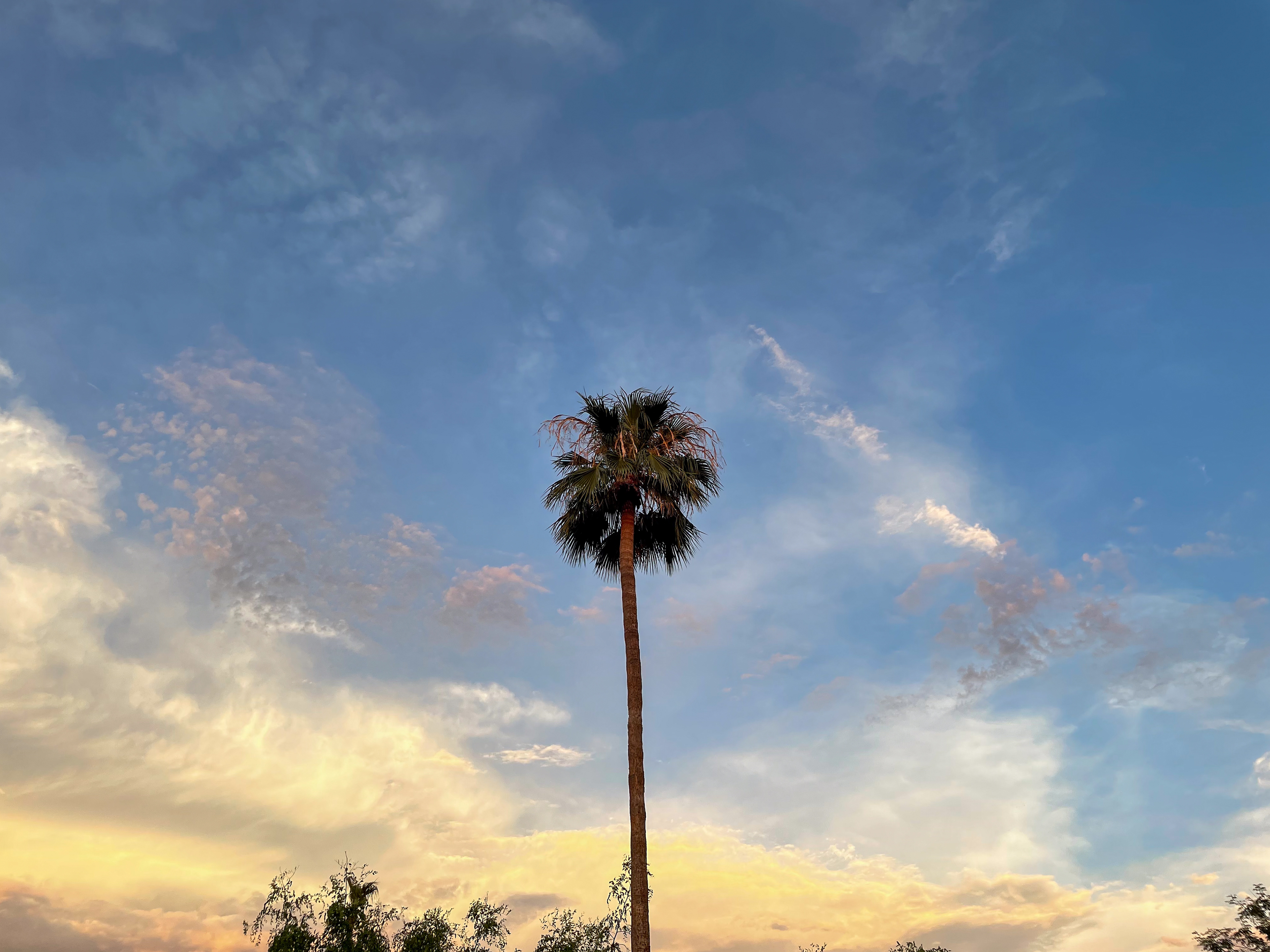 Arizona. July 2022
